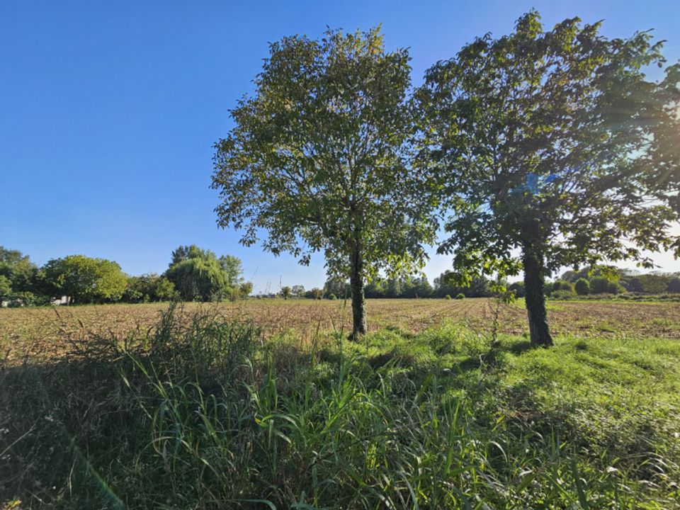 Helårsgrund i Borgo Veneto, Padua - foto 2