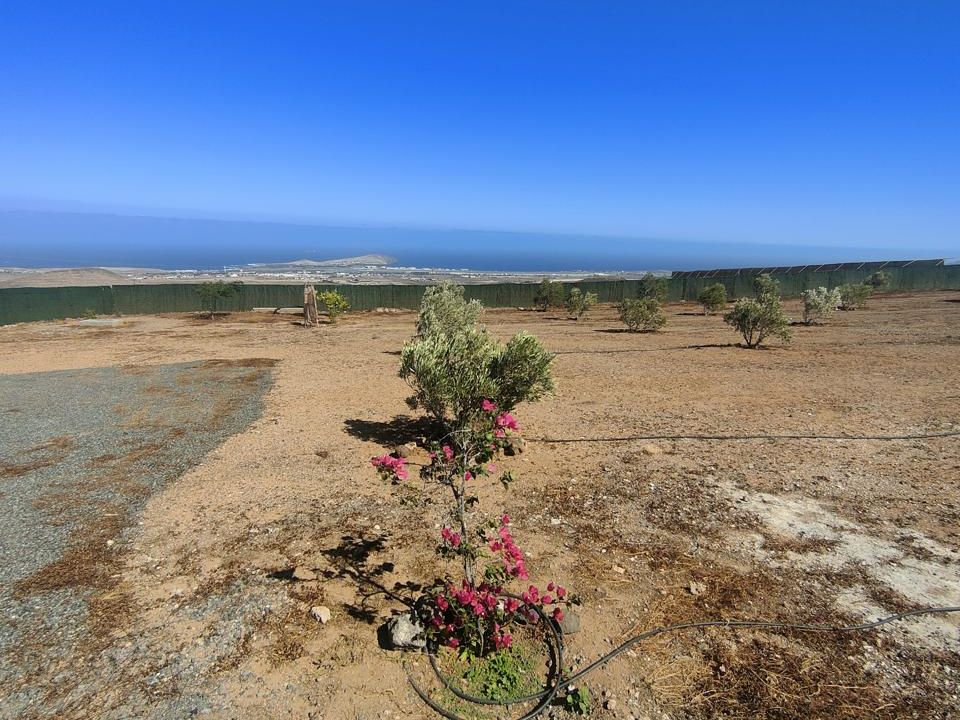 Villa i Piletillas, Gran Canaria - foto 4