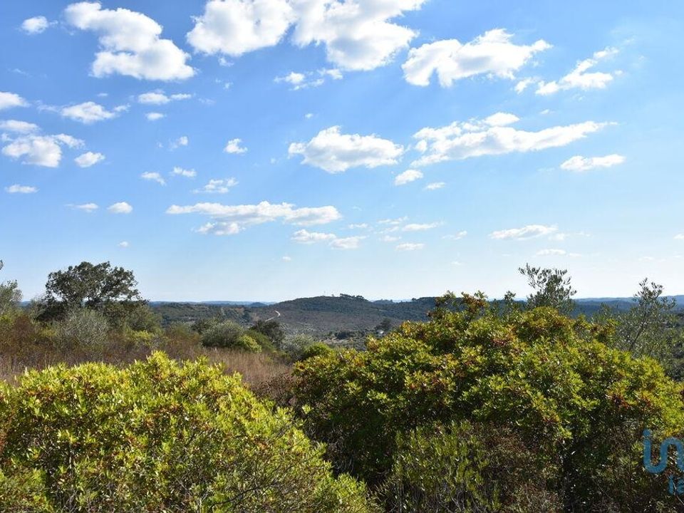Helårsgrund i Ferreira do Zezere, Santarem - foto 4