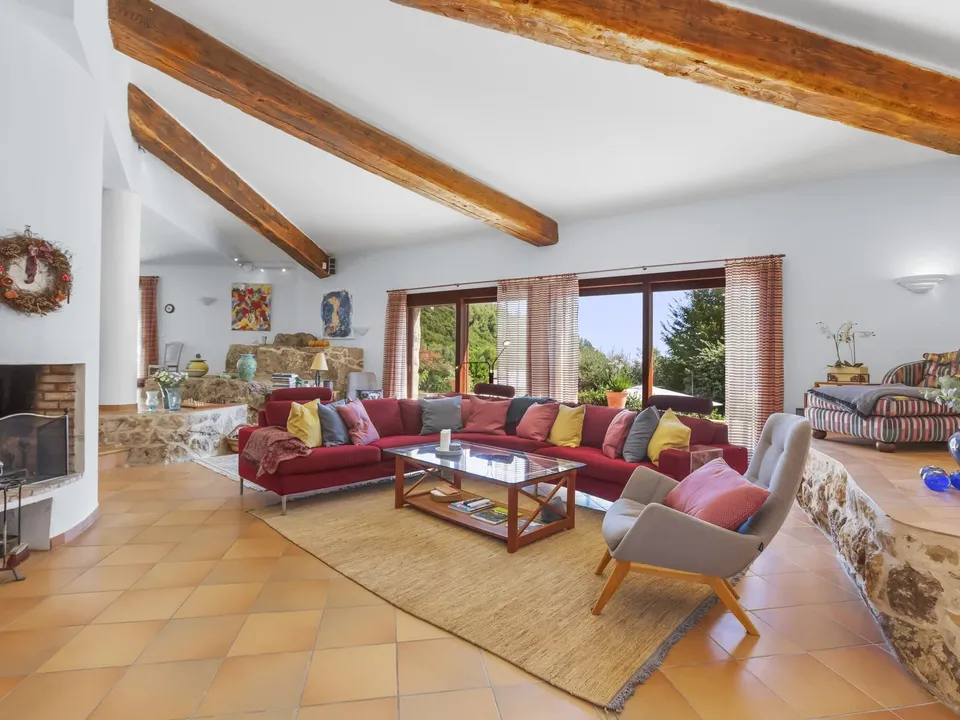 Villa i Tourrettes-sur-Loup, Alpes-Maritimes - foto 4