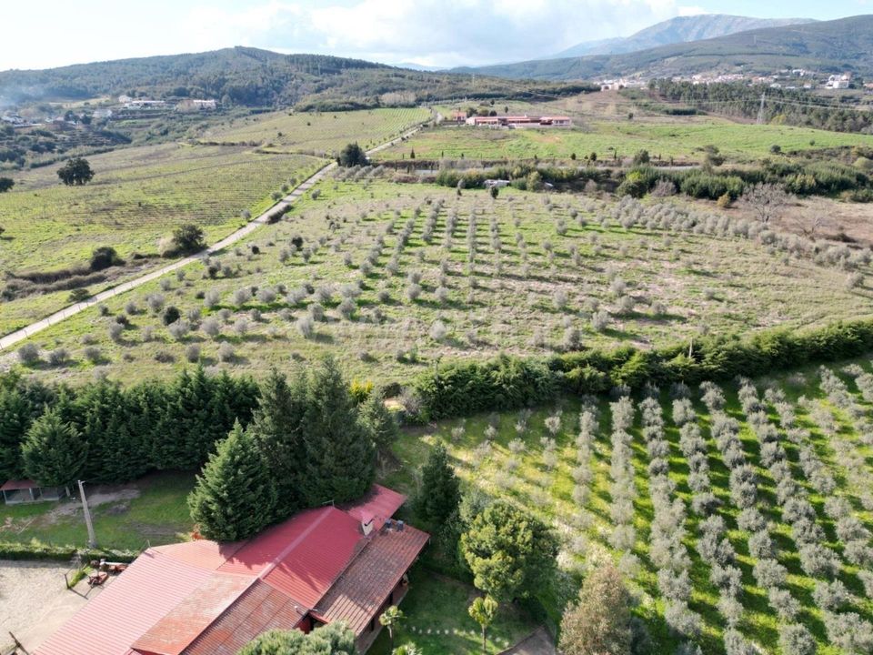 Erhvervsejendom i Covilha, Castelo Branco - foto 4