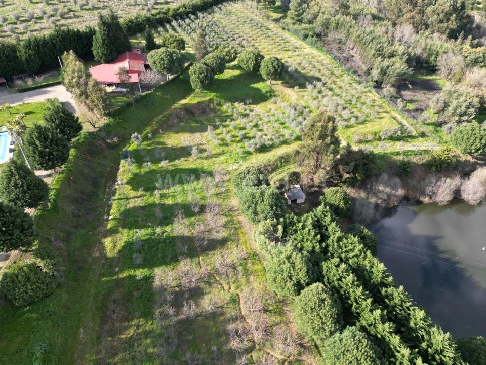 Erhvervsejendom i Covilha, Castelo Branco - foto 5