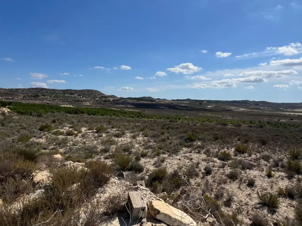 Landejendom i Orihuela, Alicante - foto 3