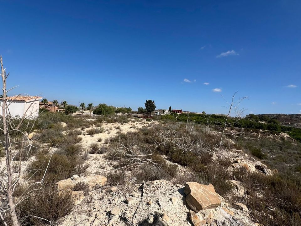 Landejendom i Orihuela, Alicante - foto 4