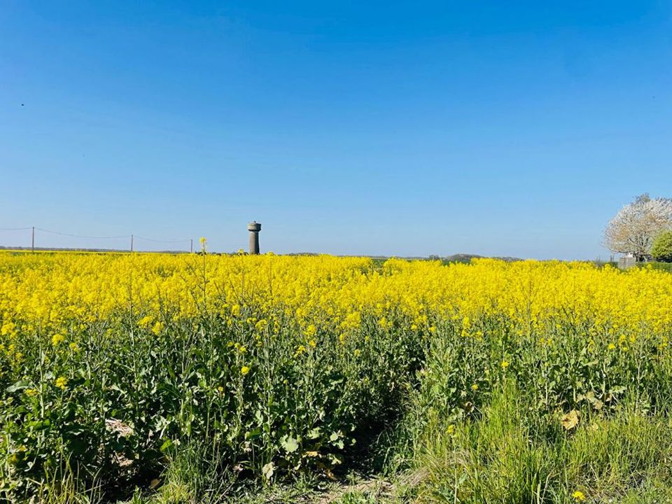 Helårsgrund i Épernon, Eure-et-Loir - foto 1