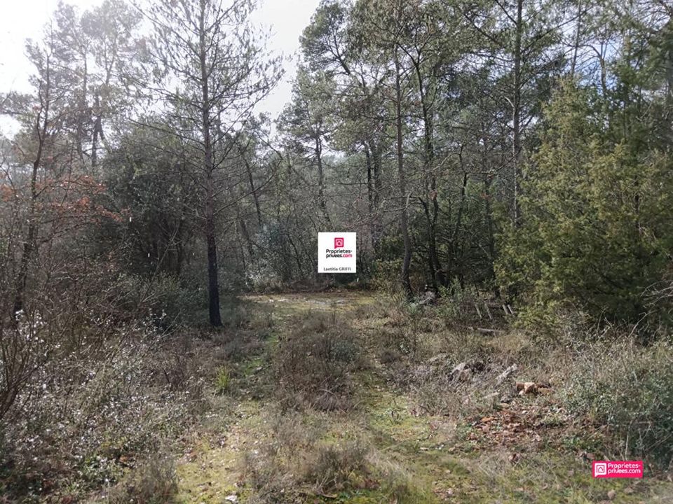 Helårsgrund i Saint-Paul-en-Foret, Var - foto 3