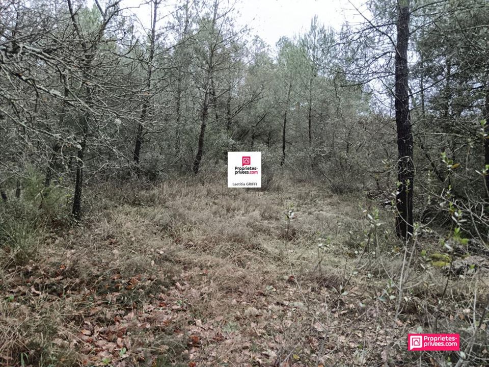 Helårsgrund i Saint-Paul-en-Foret, Var - foto 4