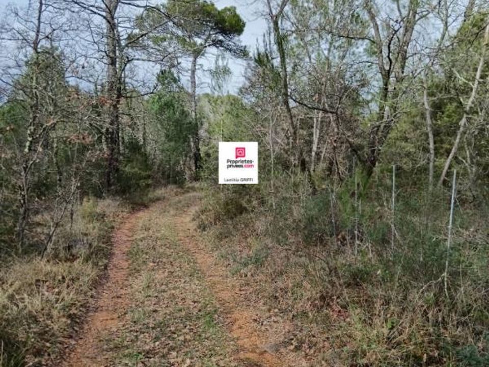 Helårsgrund i Saint-Paul-en-Foret, Var - foto 5