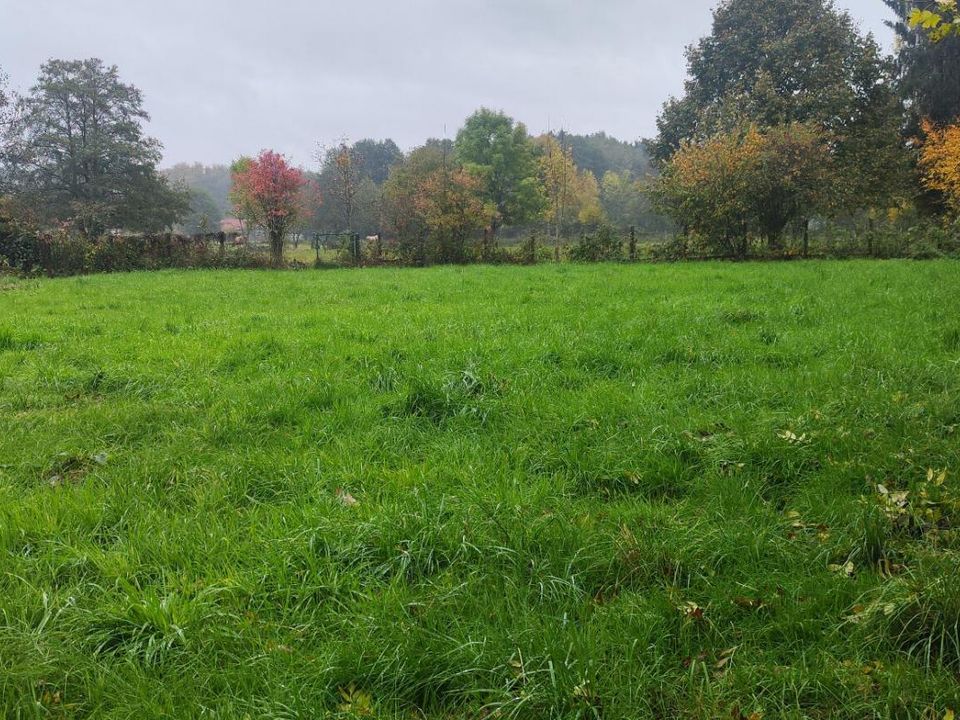Helårsgrund i Vescemont, Territoire de Belfort - foto 1