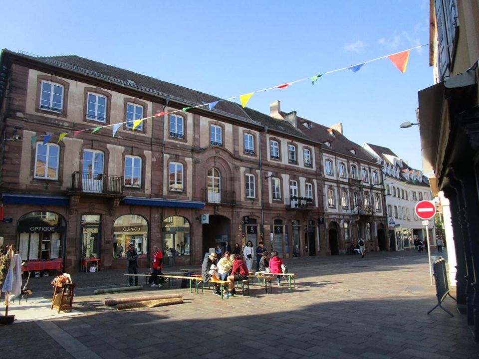 Erhvervsejendom i Haguenau, Bas-Rhin - foto 3