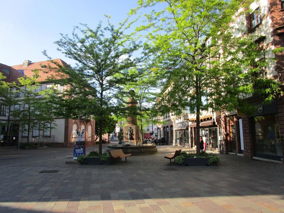 Erhvervsejendom i Haguenau, Bas-Rhin - foto 4