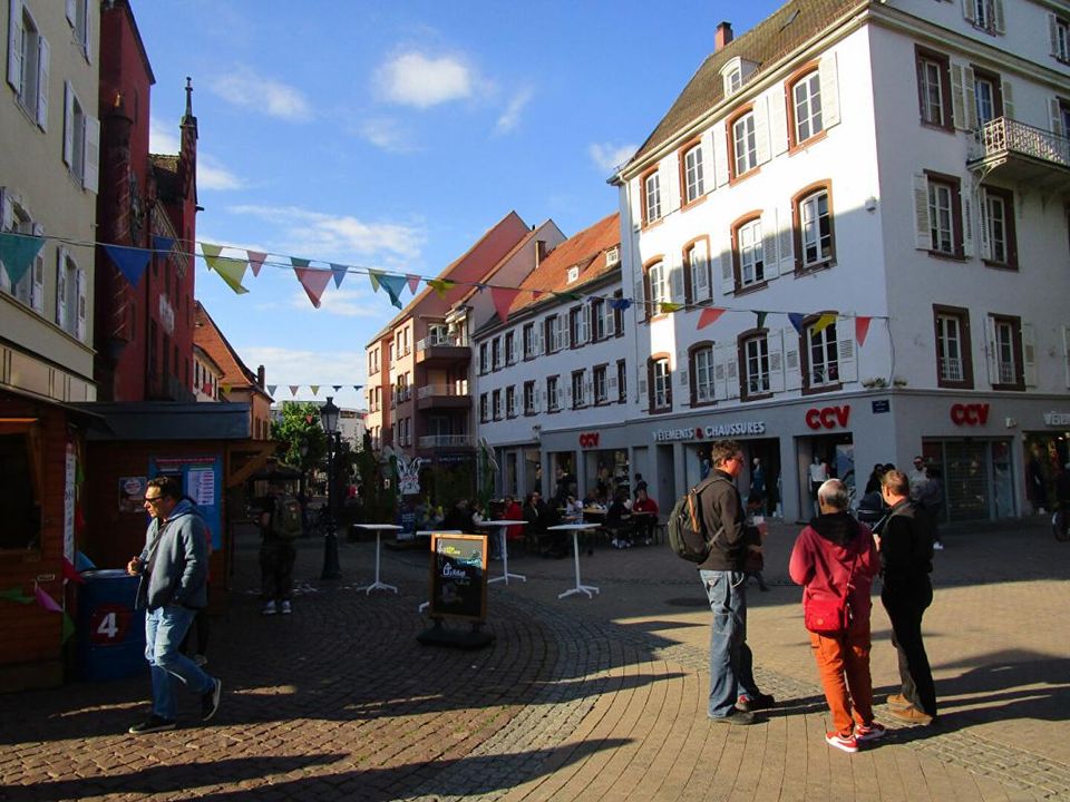 Erhvervsejendom i Haguenau, Bas-Rhin - foto 5