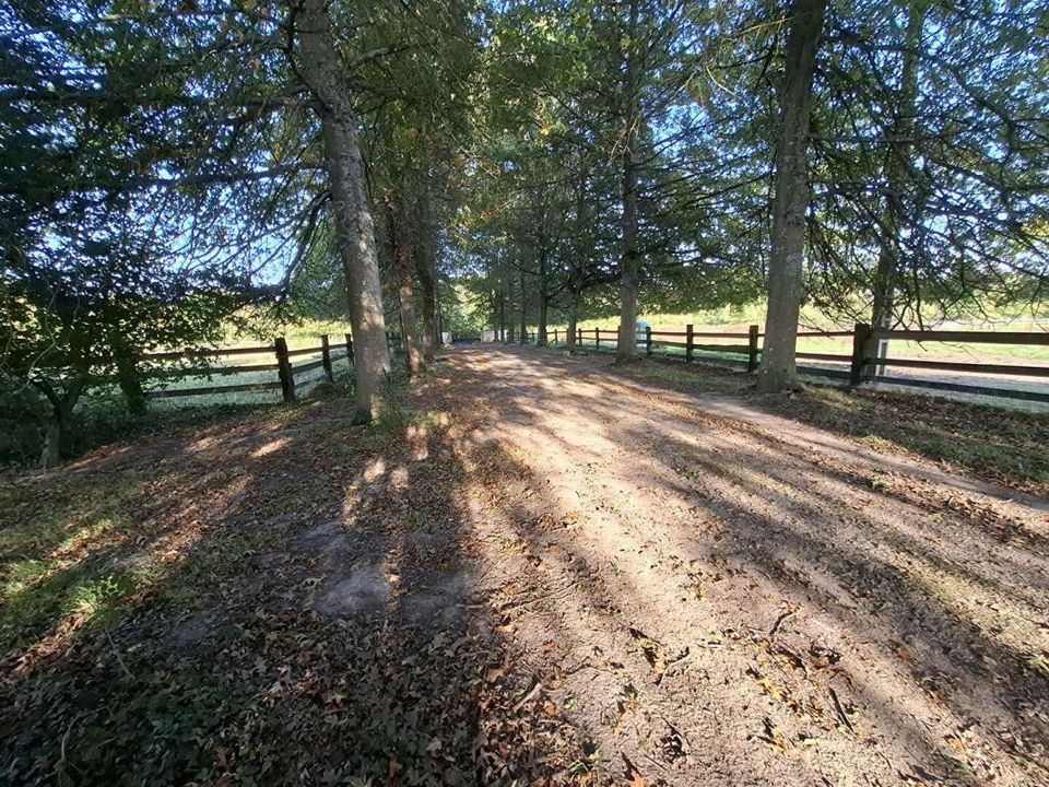 Villa i Mortagne-au-Perche, Orne - foto 2