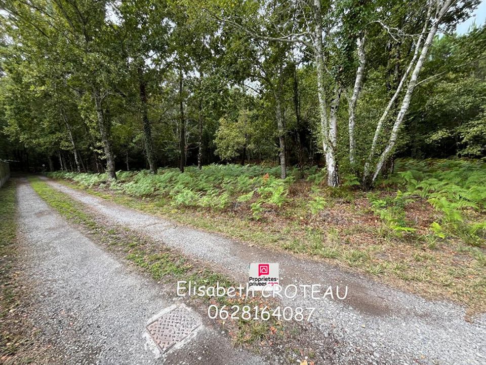 Tomt i Sanguinet, Landes - bilde 2