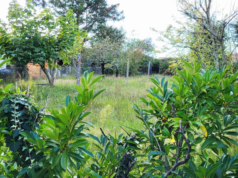 Villa i Gujan-Mestras, Gironde - foto 3