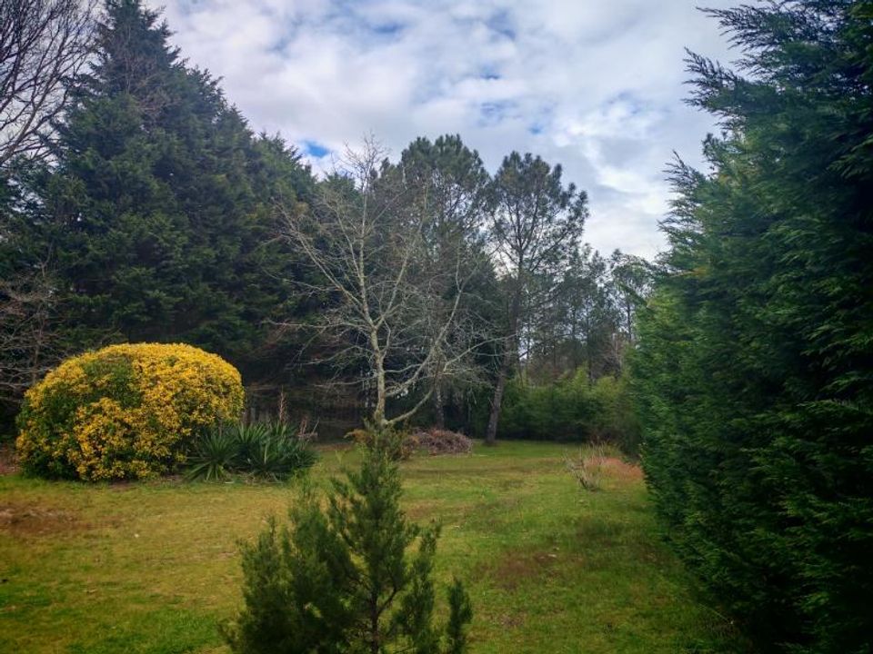 Villa i Saint-Vincent-de-Paul, Landes - foto 2