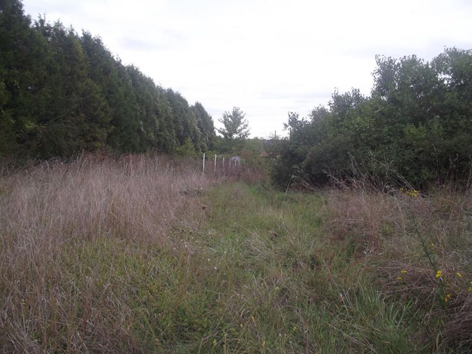 Terra a Chavanges, Aube - foto 1