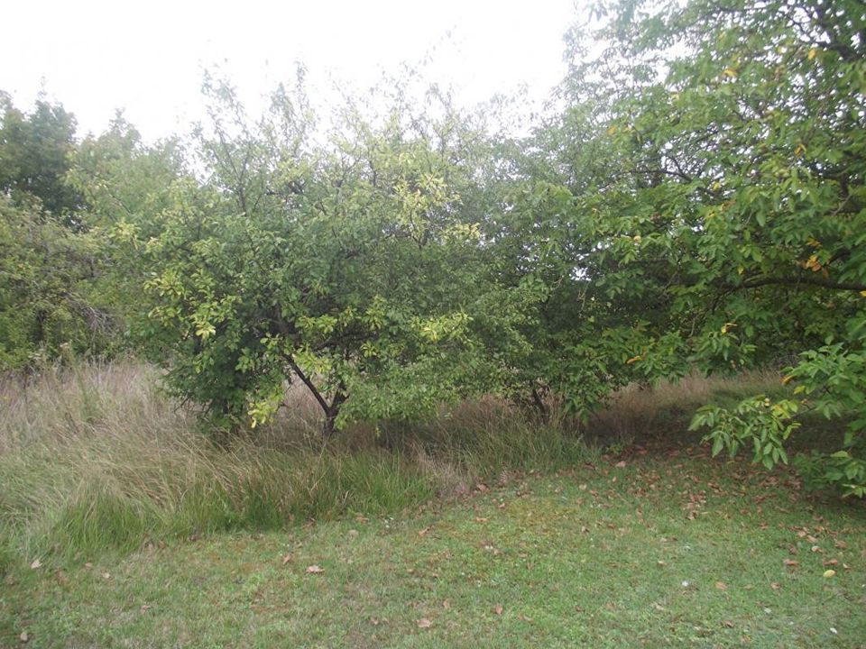 Terra a Chavanges, Aube - foto 2