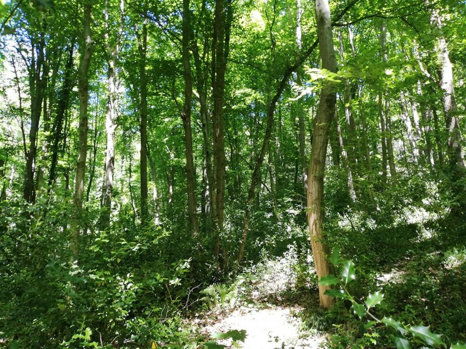 Helårsgrund i Dampierre-en-Yvelines, Yvelines - foto 1