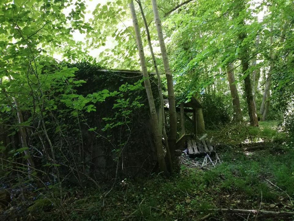 Helårsgrund i Dampierre-en-Yvelines, Yvelines - foto 5
