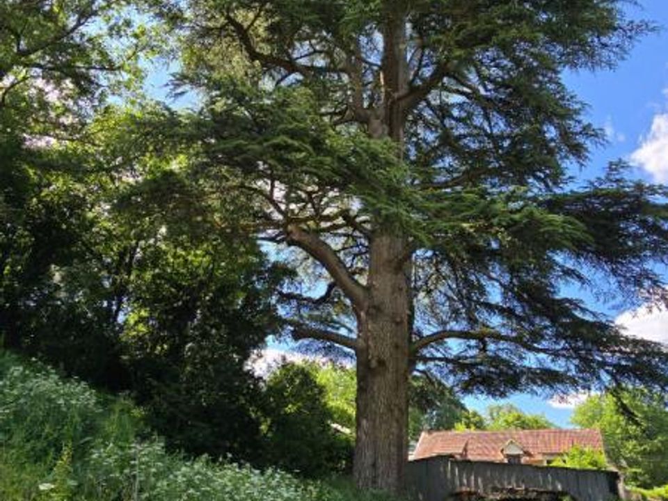 Tomt i Biard, Vienne - bilde 1