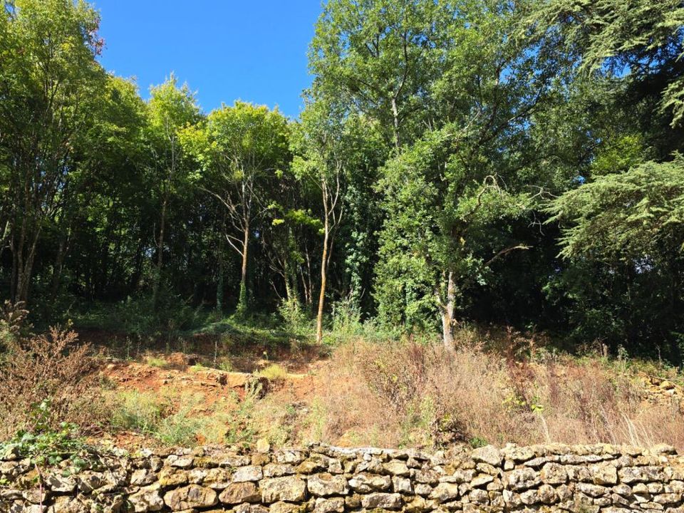 Tomt i Biard, Vienne - bilde 2