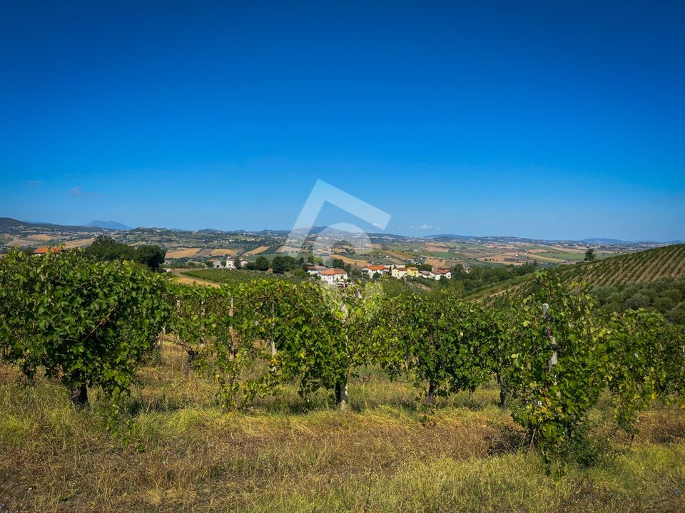 Erhvervsejendom i Montecarotto, Ancona - foto 1