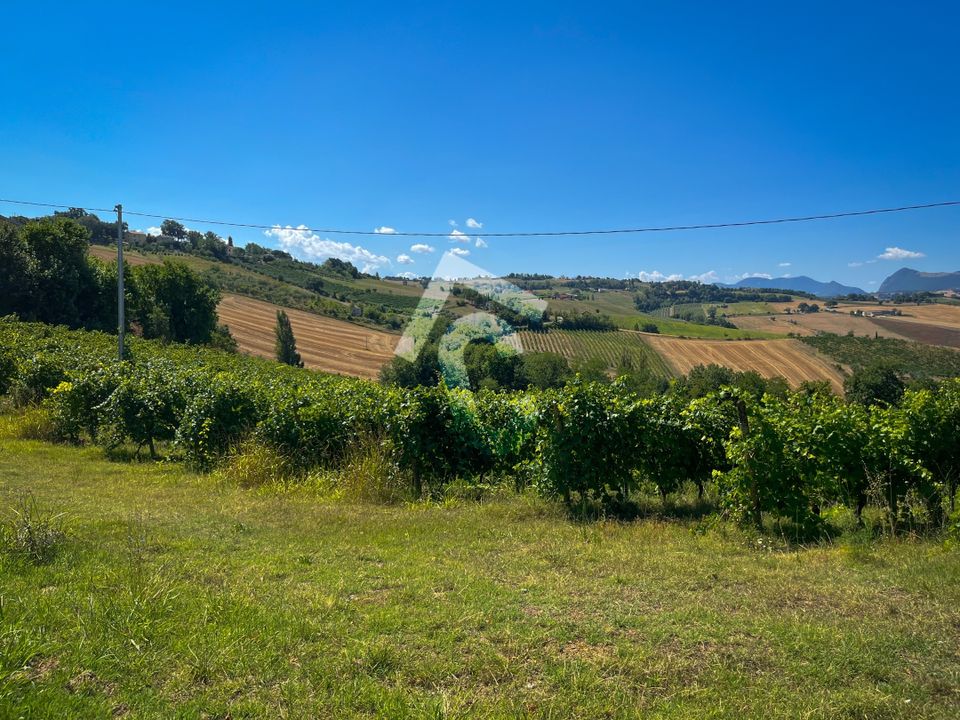 Erhvervsejendom i Montecarotto, Ancona - foto 3
