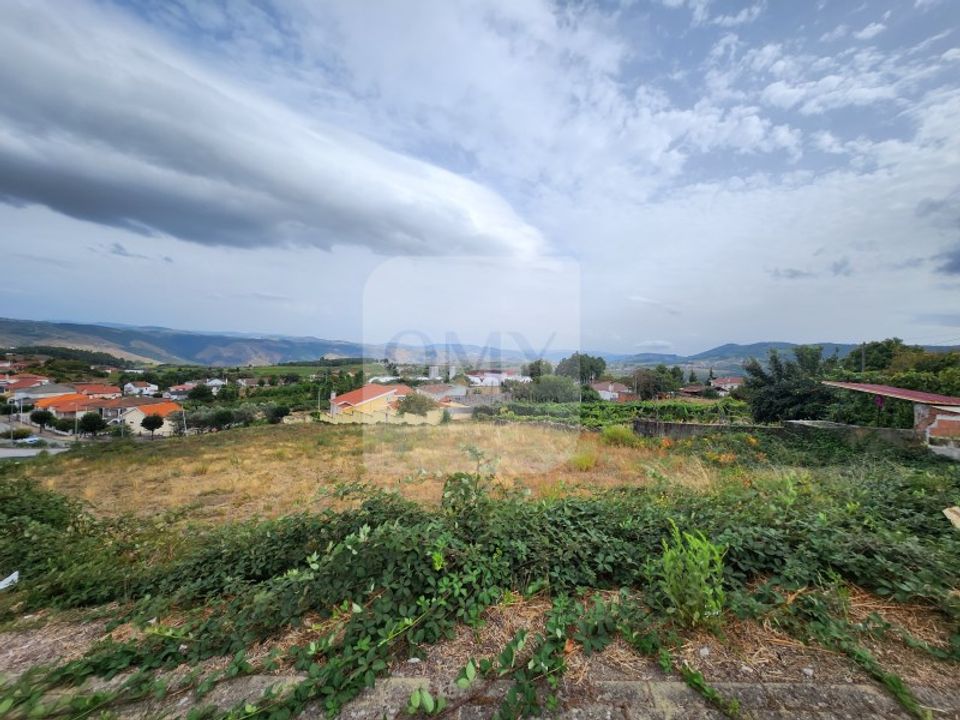 Terra a Sabrosa, Vila Real - foto 5