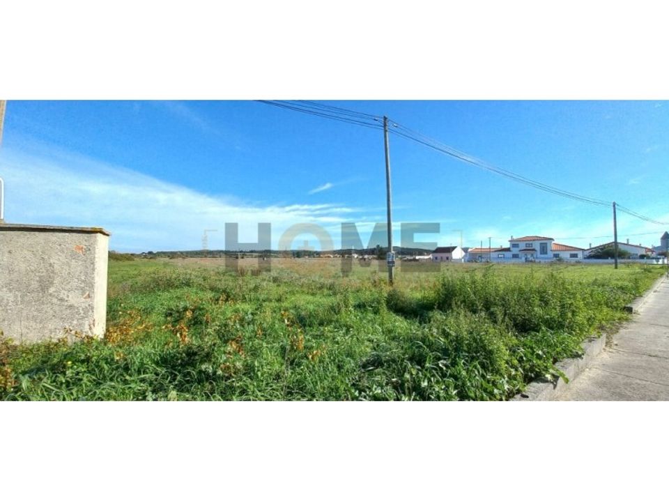 Terra a Alpiarca, Santarem - foto 2