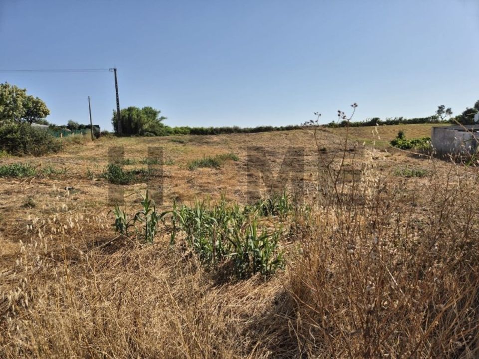 Helårsgrund i Alpiarca, Santarem - foto 4