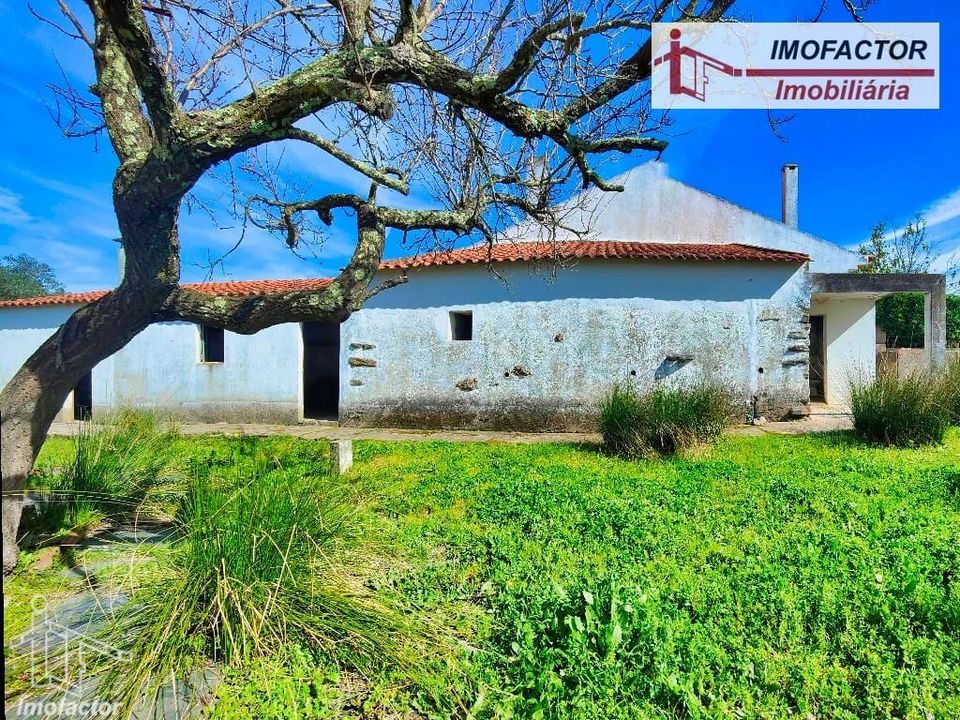 Villa i Vila Velha de Rodao, Castelo Branco - bilde 3