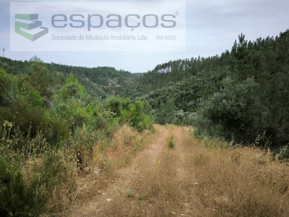 Helårsgrund i Castelo Branco, Castelo Branco - foto 4