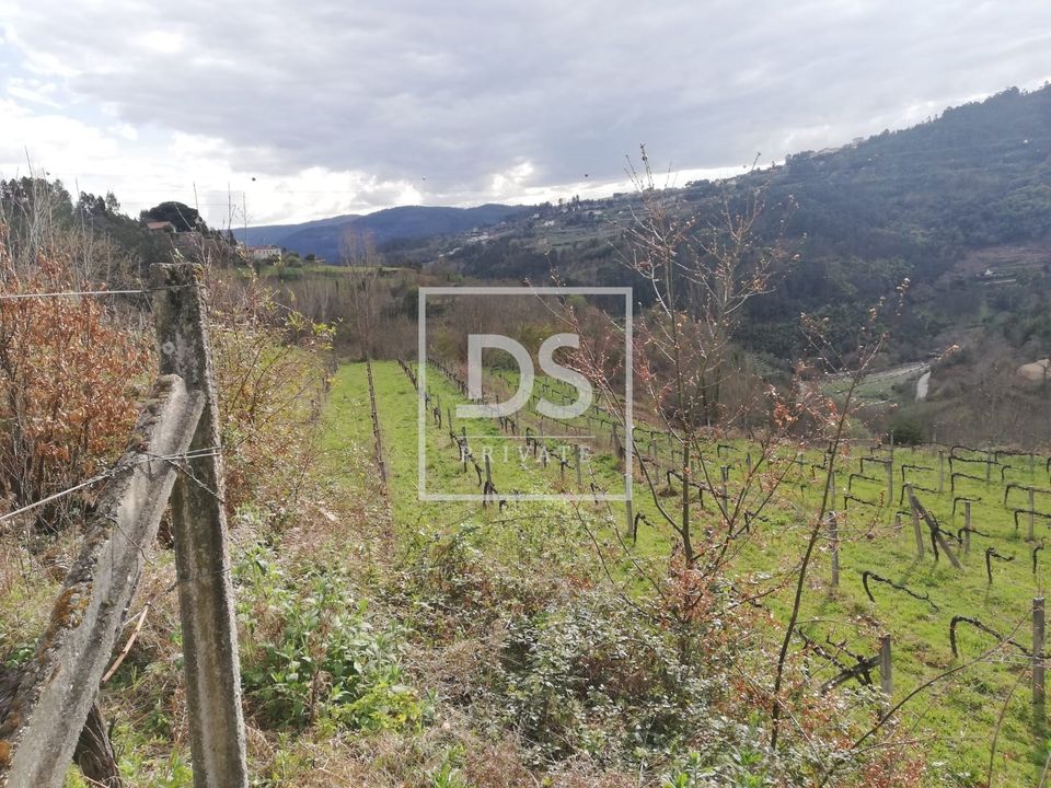 Helårsgrund i Souselo, Viseu - foto 1