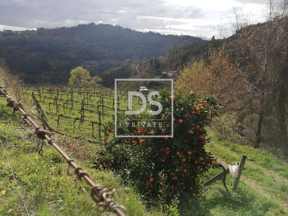 Helårsgrund i Souselo, Viseu - foto 2