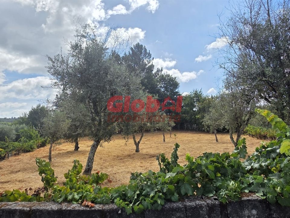 Helårsgrund i Viseu, Viseu - foto 3