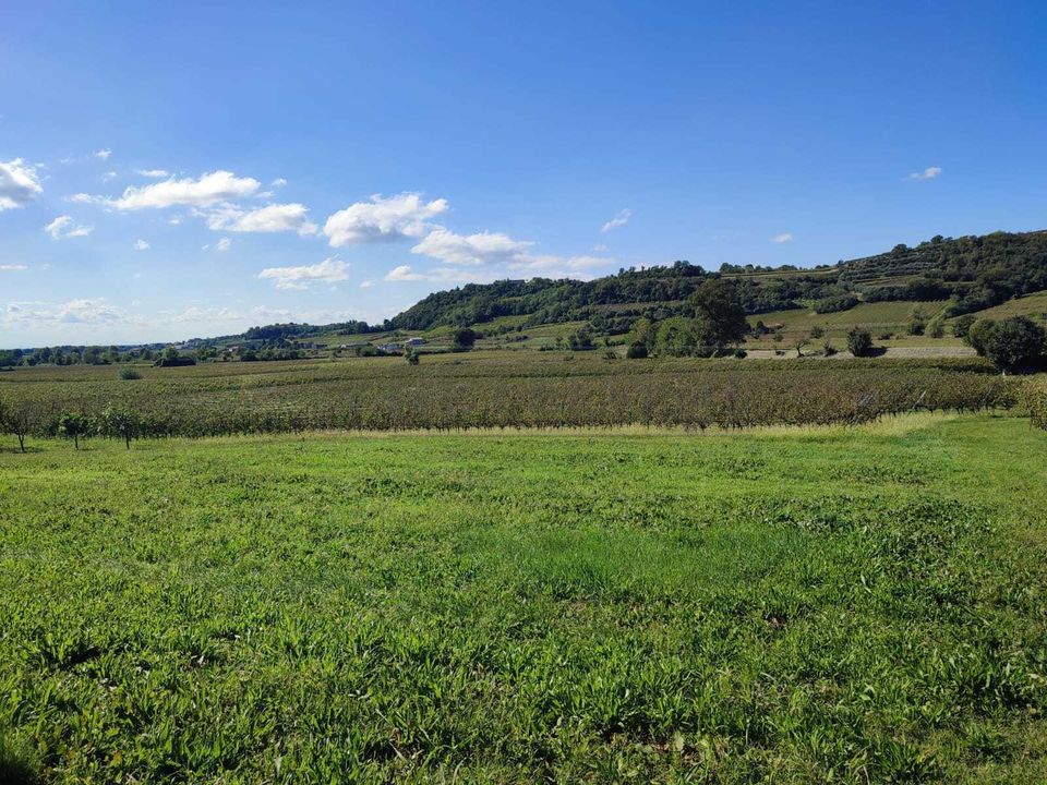 Helårsgrund i Montebello Vicentino, Vicenza - foto 1