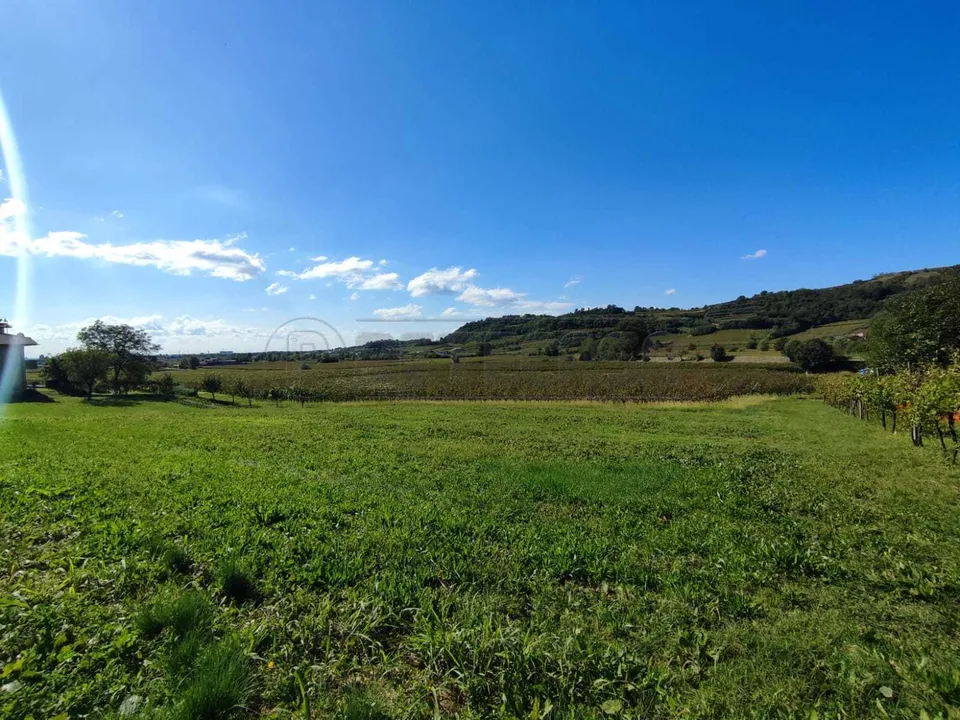 Helårsgrund i Montebello Vicentino, Vicenza - foto 2