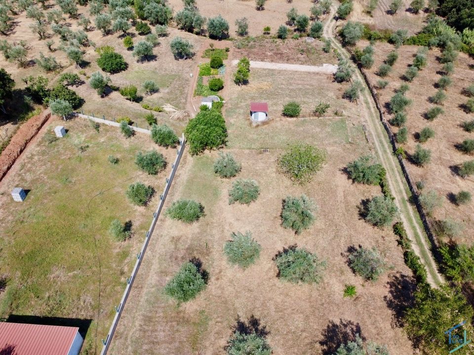 Ruinere i Casais e Alviobeira, Santarem - foto 4