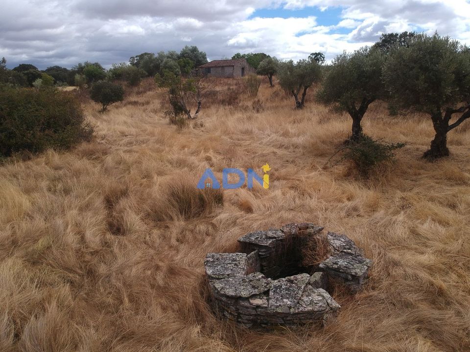 Helårsgrund i Rosmaninhal, Castelo Branco - foto 2