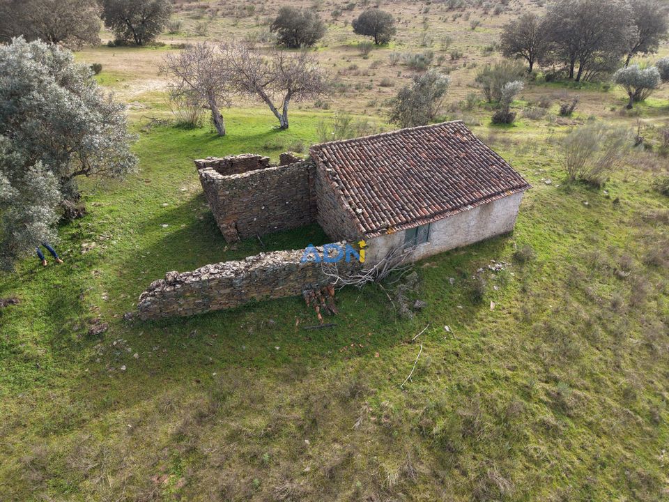 Helårsgrund i Rosmaninhal, Castelo Branco - foto 1