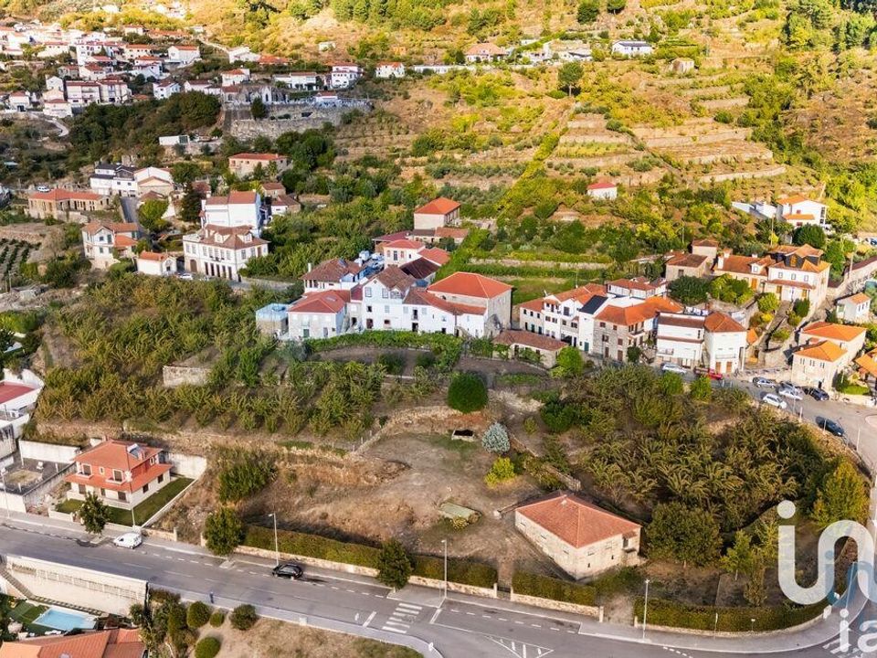 Gård i Resende, Viseu - bilde 5