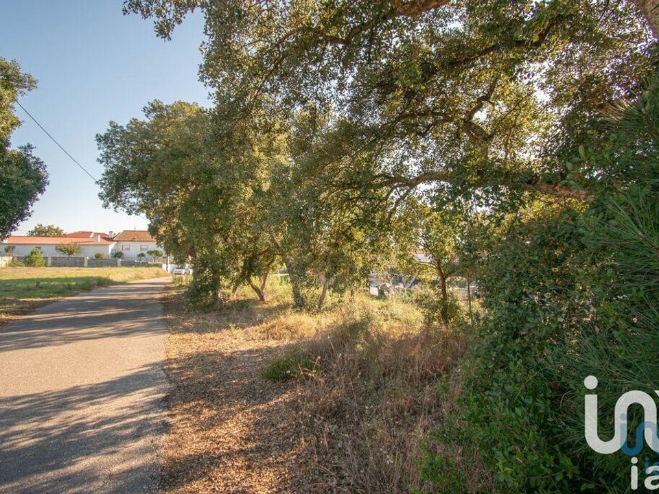 Helårsgrund i Leiria, Leiria - foto 5