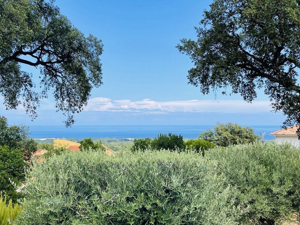 Villa i Santa-Maria-Poggio, Haute-Corse - foto 1