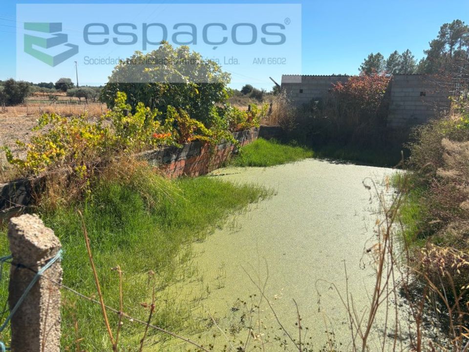 Erhvervsejendom i Soalheira, Castelo Branco - foto 2