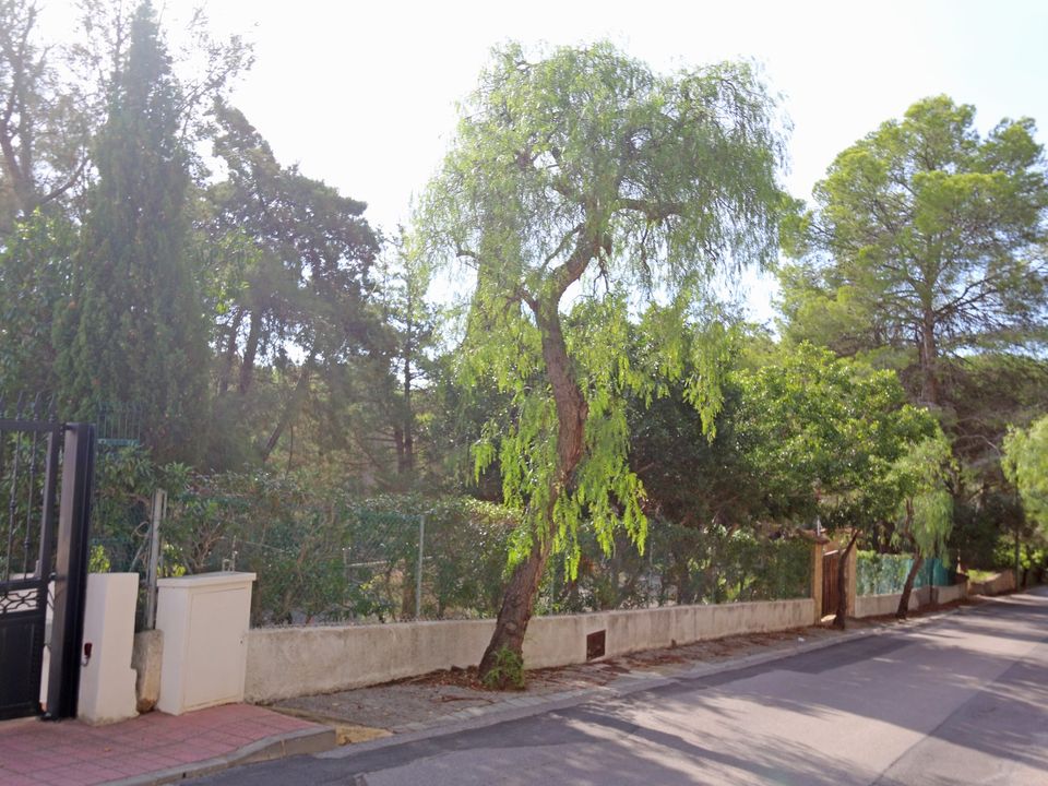 Helårsgrund i Alcossebre, Castellon - foto 1