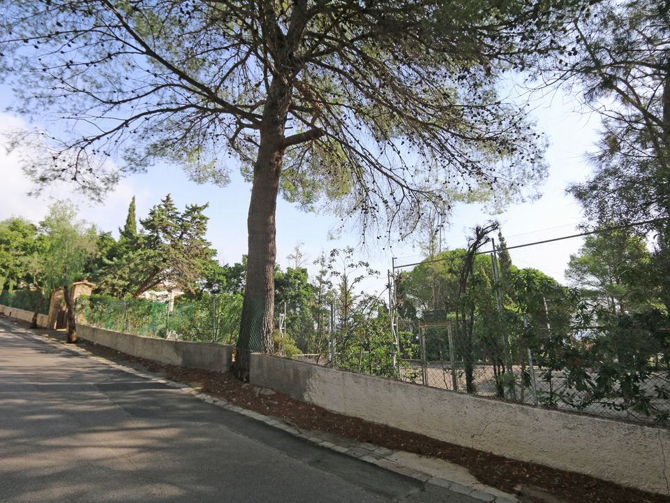 Helårsgrund i Alcossebre, Castellon - foto 4