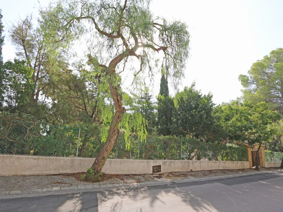 Helårsgrund i Alcossebre, Castellon - foto 5