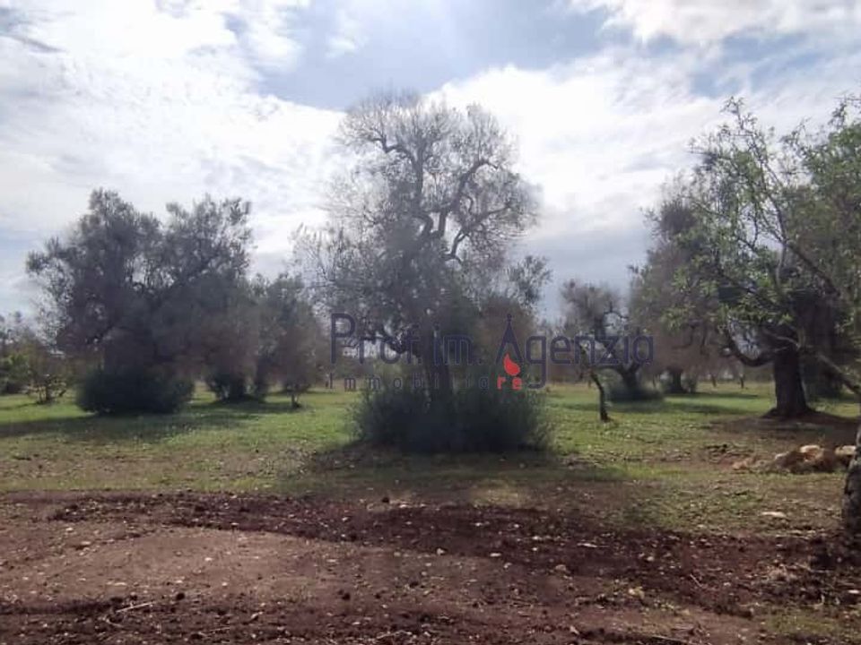 Helårsgrund i San Vito dei Normanni, Brindisi - foto 2