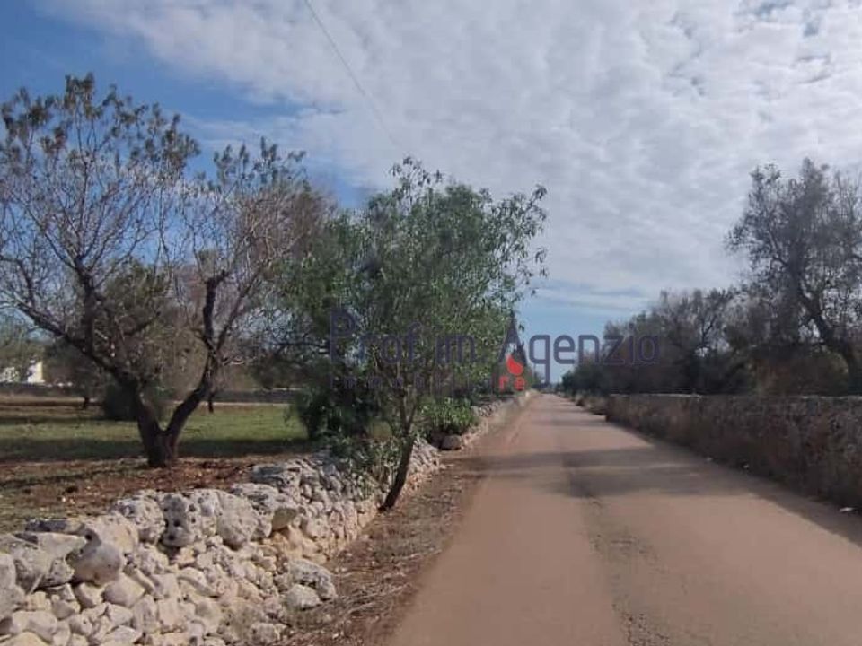 Helårsgrund i San Vito dei Normanni, Brindisi - foto 5